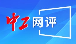 2029骞存逛杩涓惧